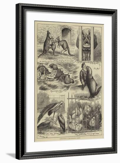 Easter Monday at the Zoological Gardens-Stanley Berkeley-Framed Giclee Print