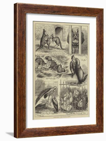 Easter Monday at the Zoological Gardens-Stanley Berkeley-Framed Giclee Print