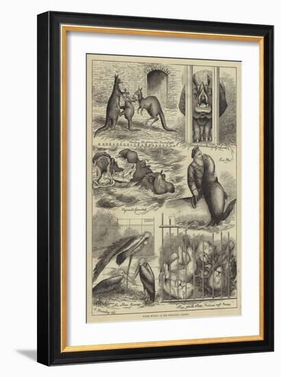 Easter Monday at the Zoological Gardens-Stanley Berkeley-Framed Giclee Print