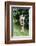 Easter nest in bird cage, Still life Easter-mauritius images-Framed Photographic Print