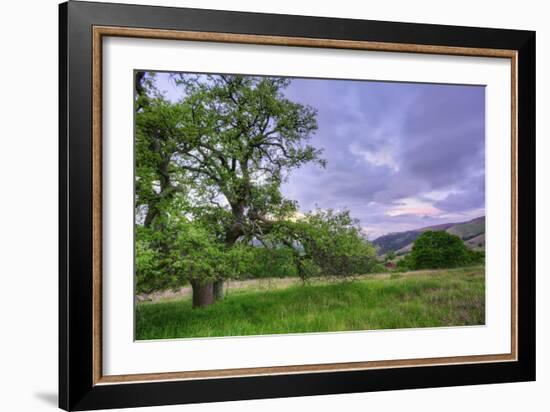 Easter Sunset from Mount Diablo-Vincent James-Framed Photographic Print