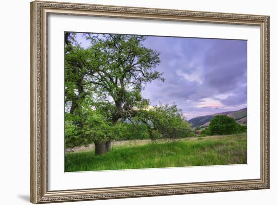 Easter Sunset from Mount Diablo-Vincent James-Framed Photographic Print