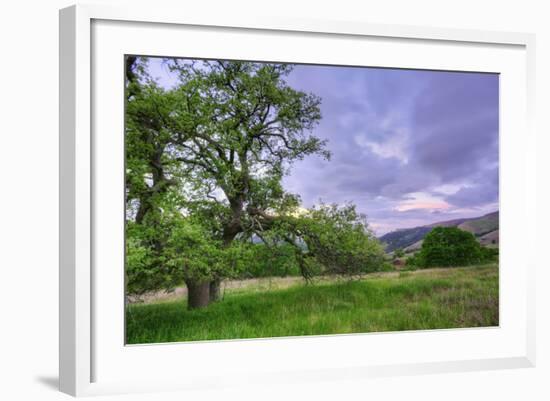 Easter Sunset from Mount Diablo-Vincent James-Framed Photographic Print