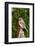 Eastern Bluebird-Gary Carter-Framed Photographic Print