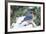 Eastern Bluebird-Gary Carter-Framed Photographic Print