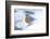 Eastern Bluebird-Gary Carter-Framed Photographic Print