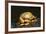 Eastern Box Turtle-null-Framed Photographic Print