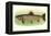 Eastern Brook Trout-null-Framed Stretched Canvas