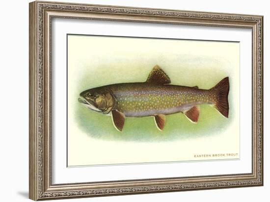 Eastern Brook Trout-null-Framed Art Print