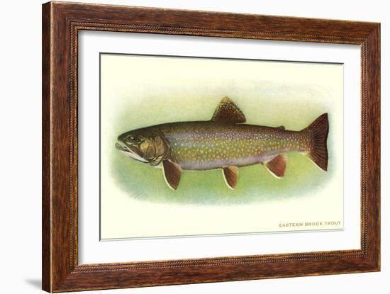 Eastern Brook Trout-null-Framed Art Print