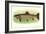 Eastern Brook Trout-null-Framed Art Print