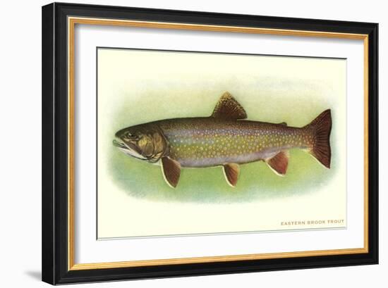 Eastern Brook Trout-null-Framed Art Print