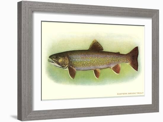 Eastern Brook Trout-null-Framed Premium Giclee Print