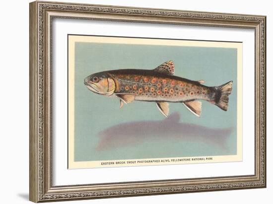 Eastern Brook Trout-null-Framed Art Print