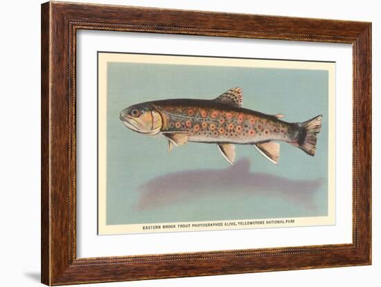 Eastern Brook Trout-null-Framed Art Print