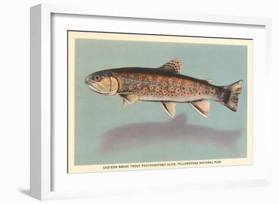 Eastern Brook Trout-null-Framed Art Print