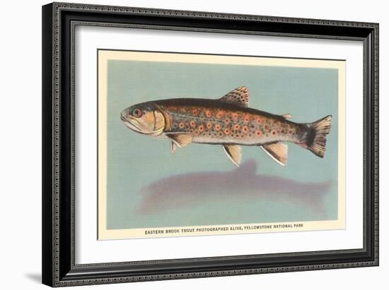 Eastern Brook Trout-null-Framed Art Print