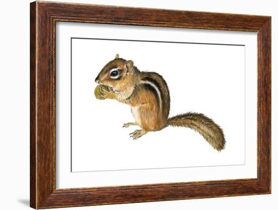 Eastern Chipmunk (Tamias Striatus), Mammals-Encyclopaedia Britannica-Framed Art Print