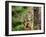 Eastern Chipmunk-Gary Carter-Framed Photographic Print