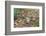 Eastern Chipmunk-Gary Carter-Framed Photographic Print