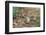 Eastern Chipmunk-Gary Carter-Framed Photographic Print