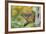 Eastern Chipmunk-Gary Carter-Framed Photographic Print