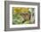 Eastern Chipmunk-Gary Carter-Framed Photographic Print