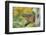 Eastern Chipmunk-Gary Carter-Framed Photographic Print