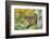 Eastern Chipmunk-Gary Carter-Framed Photographic Print