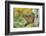 Eastern Chipmunk-Gary Carter-Framed Photographic Print