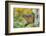 Eastern Chipmunk-Gary Carter-Framed Photographic Print