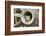 Eastern Chipmunk-Gary Carter-Framed Photographic Print