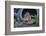 Eastern Chipmunk-Gary Carter-Framed Photographic Print