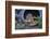 Eastern Chipmunk-Gary Carter-Framed Photographic Print