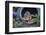 Eastern Chipmunk-Gary Carter-Framed Photographic Print