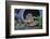 Eastern Chipmunk-Gary Carter-Framed Photographic Print