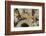 Eastern Chipmunk-Gary Carter-Framed Photographic Print