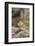 Eastern Chipmunk-Gary Carter-Framed Photographic Print