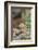 Eastern Chipmunk-Gary Carter-Framed Photographic Print