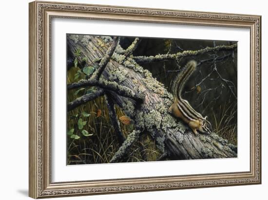 Eastern Chipmunk-Harro Maass-Framed Giclee Print