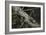 Eastern Chipmunk-Harro Maass-Framed Giclee Print