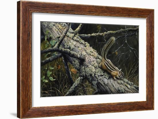 Eastern Chipmunk-Harro Maass-Framed Giclee Print