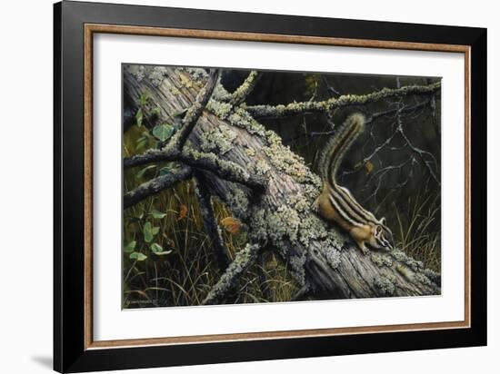 Eastern Chipmunk-Harro Maass-Framed Giclee Print