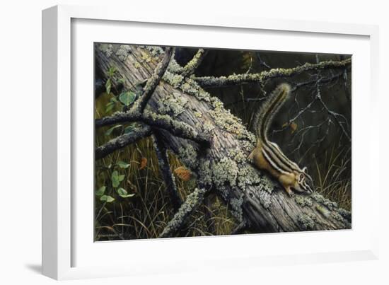 Eastern Chipmunk-Harro Maass-Framed Giclee Print