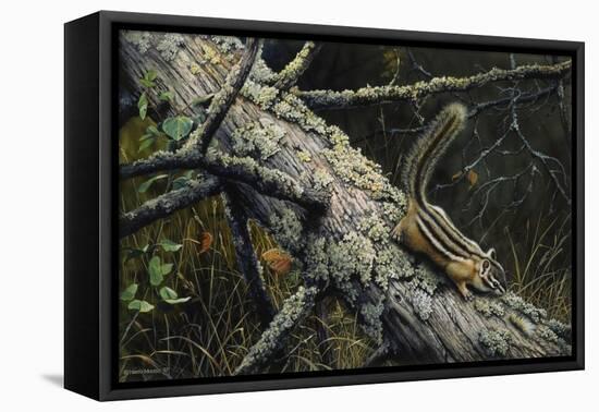 Eastern Chipmunk-Harro Maass-Framed Premier Image Canvas