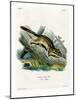 Eastern Chipmunk-null-Mounted Giclee Print