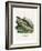 Eastern Chipmunk-null-Framed Giclee Print