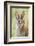 Eastern Cottontail (Sylvilagus Floridanus) Portrait, Laredo Borderlands, Texas, USA. April-Claudio Contreras-Framed Photographic Print