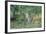 Eastern Fox Squirrel Foraging on Forest Floor-Larry Ditto-Framed Photographic Print