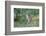 Eastern Fox Squirrel Foraging on Forest Floor-Larry Ditto-Framed Photographic Print